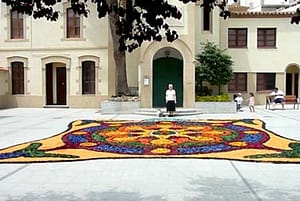 Catifas de flors a L´Estartit